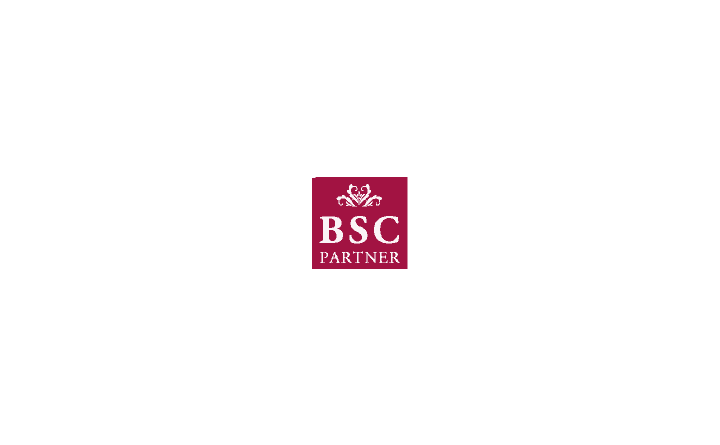 BSC Partner GmbH
